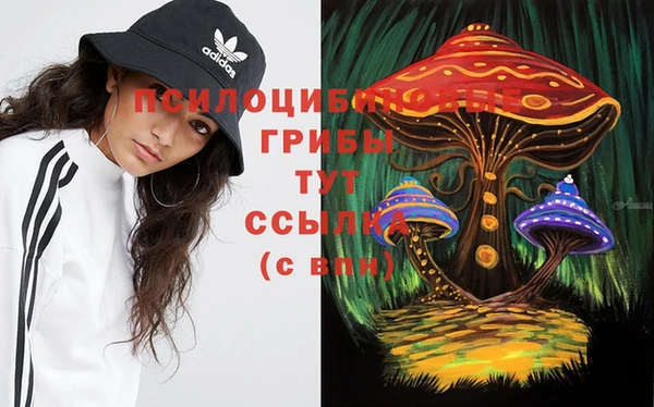 стаф Армянск