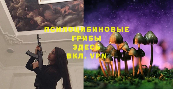спиды Арсеньев