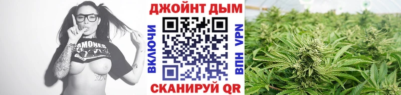 Бошки марихуана планчик  Дигора 